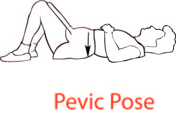 pelvic1