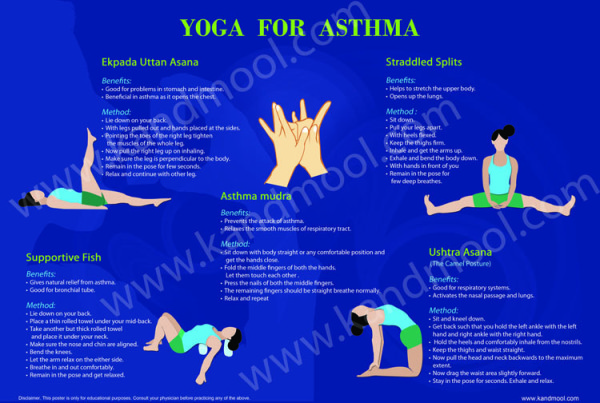yoga poses for Asthma. Young woman practicing Yoga pose. Woman workout  fitness, aerobic and exercises. Vector Illustration. 13754454 Vector Art at  Vecteezy